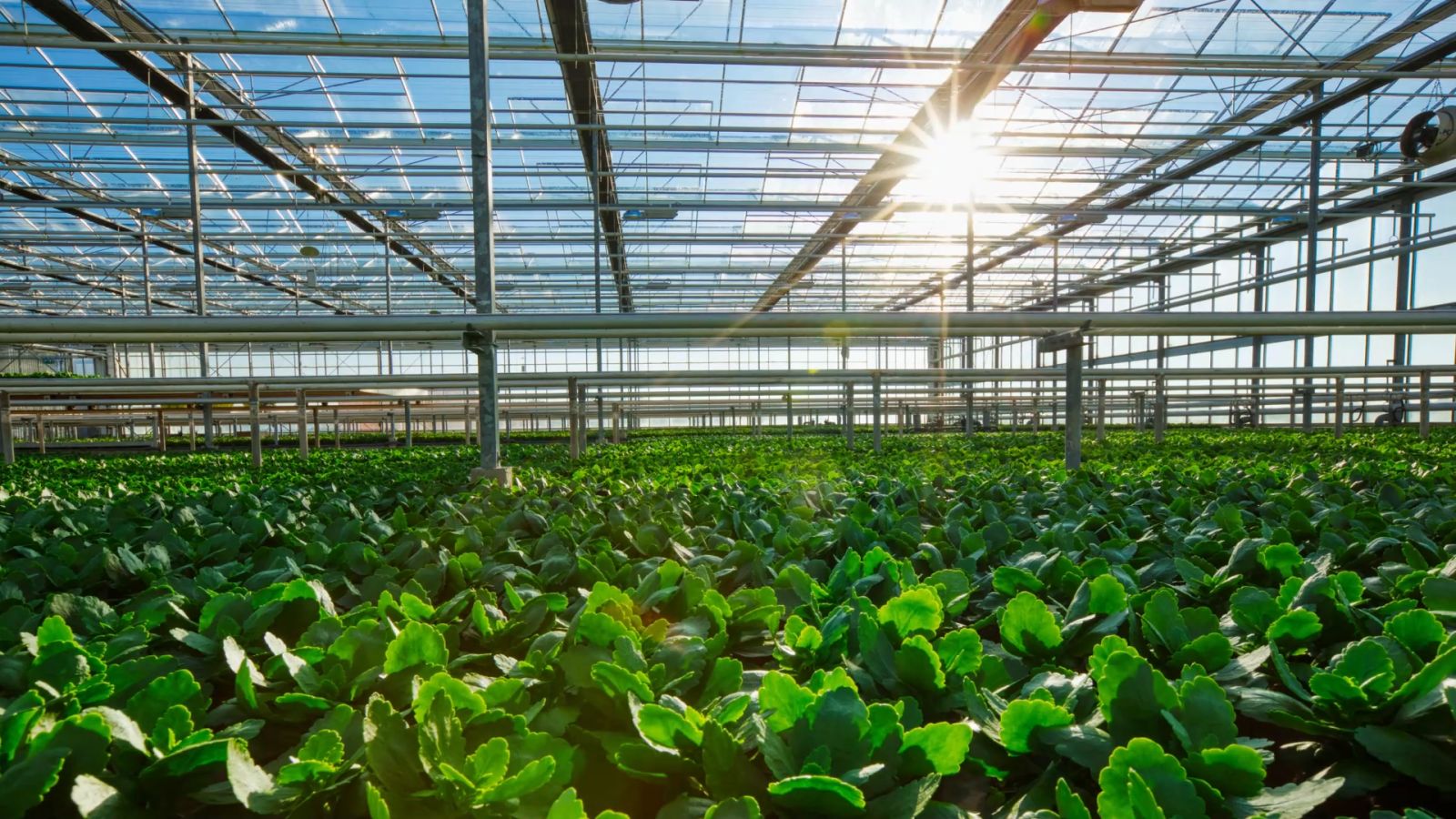 Vacature afbeelding